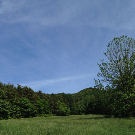 f0054977_17513575.jpg