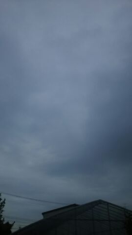 f0127282_9224325.jpg