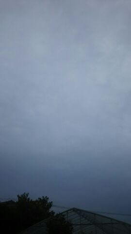 f0127282_923666.jpg