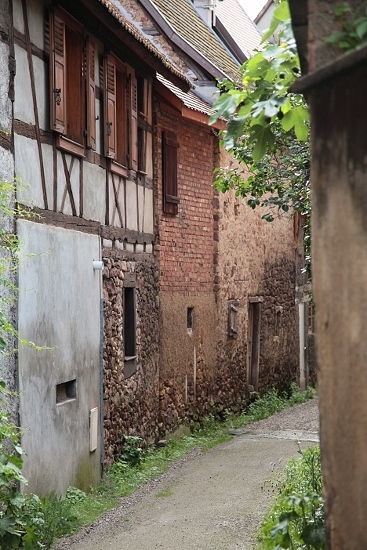 e0209997_1244250.jpg