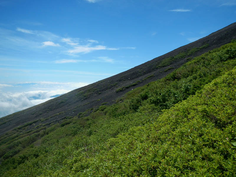 d0161702_19111343.jpg