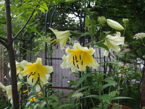 c0117007_238123.jpg