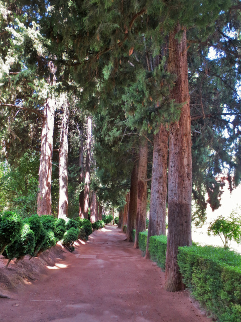 b0064411_22110401.jpg