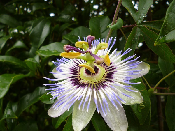 f0228619_916388.jpg