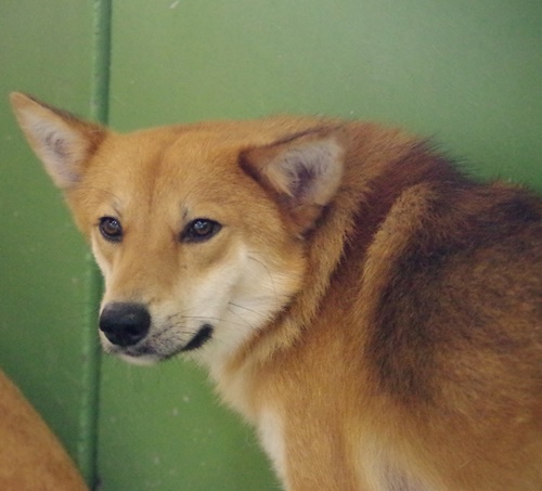 f0078320_0444030.jpg