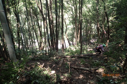 e0138321_785690.jpg