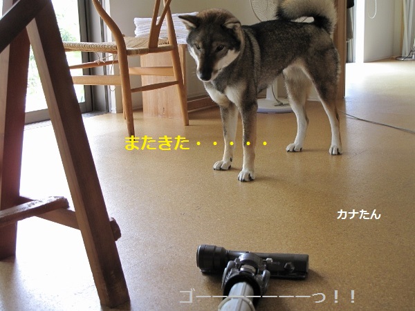 f0143123_13542661.jpg