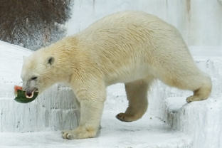 c0188928_172015.jpg