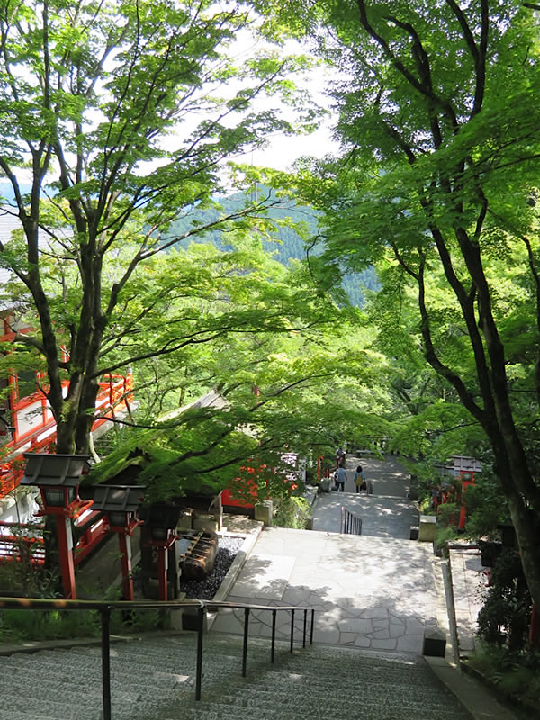 d0352628_1446890.jpg