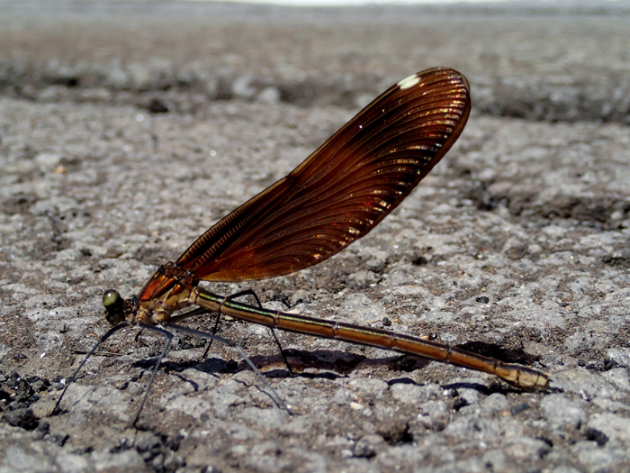 c0288736_2305844.jpg