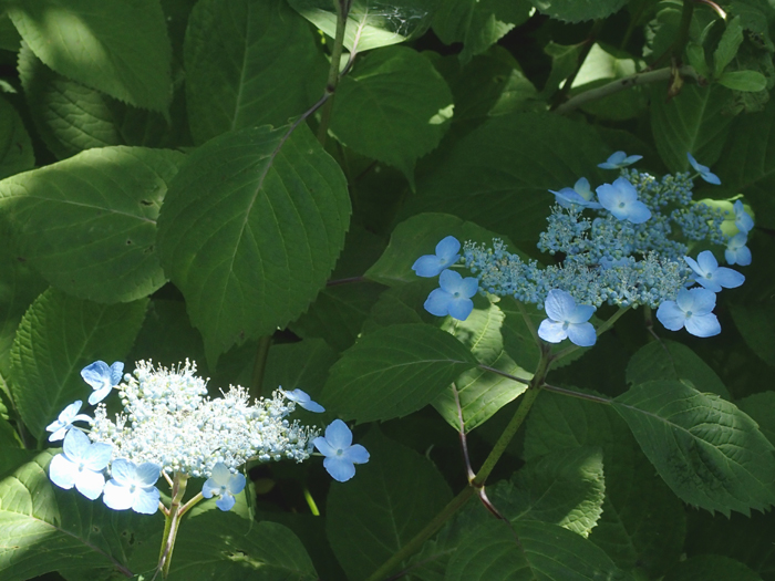 c0288736_2322551.jpg