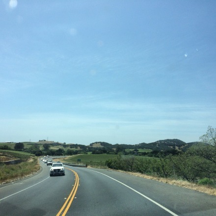 a0199262_20302684.jpg