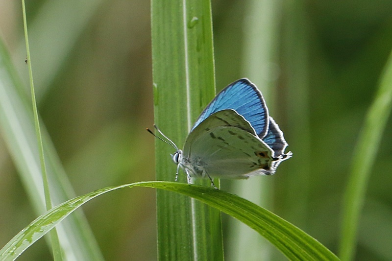 b0088772_21385047.jpg