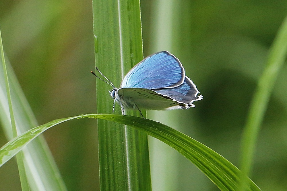 b0088772_21385700.jpg