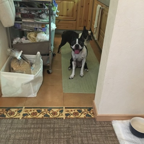 d0041575_20594093.jpeg