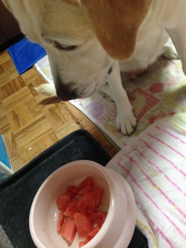 f0315081_22093245.jpeg