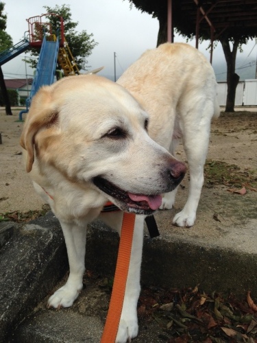 f0315081_22142150.jpeg