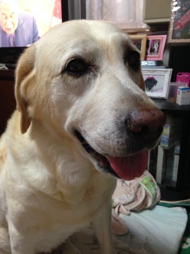 f0315081_22164767.jpeg