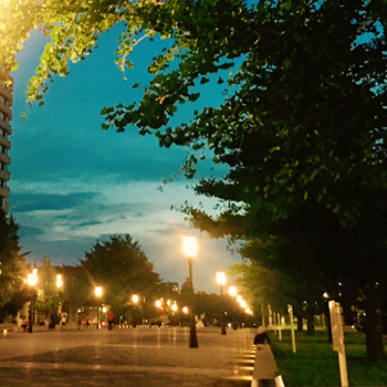 f0176795_14413503.jpg
