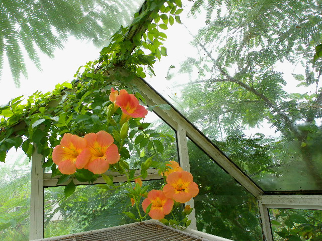a0199297_19502779.jpg