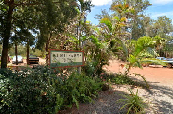 f0174198_19464878.jpg