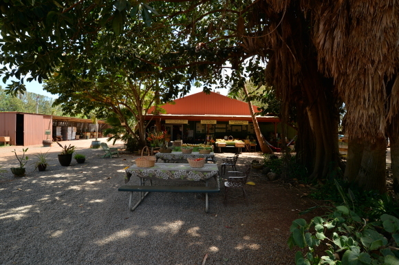 f0174198_19472010.jpg