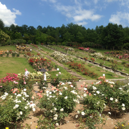 f0229399_21215994.jpg