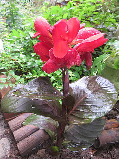d0046702_772689.jpg