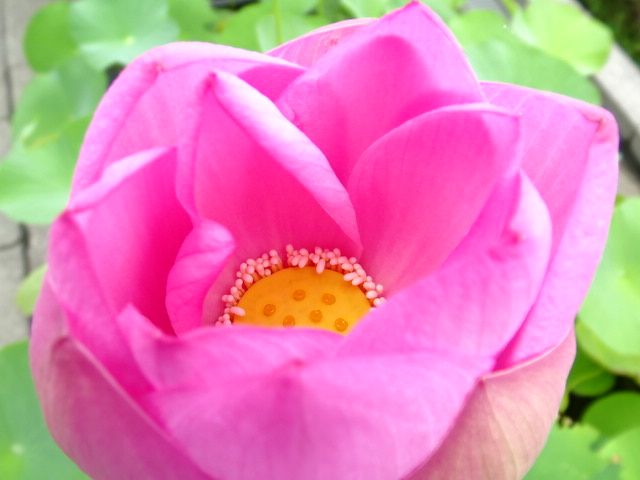 f0231709_201036100.jpg
