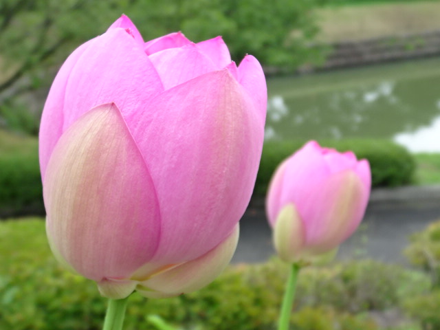 f0231709_20105622.jpg