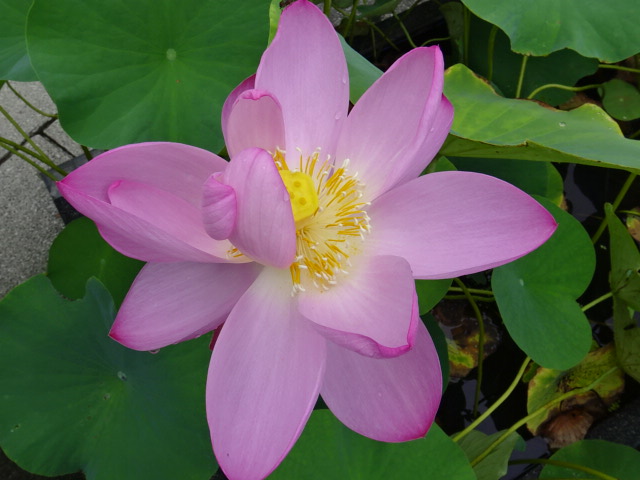 f0231709_20114743.jpg