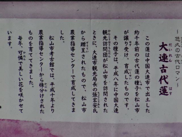 f0231709_20122392.jpg