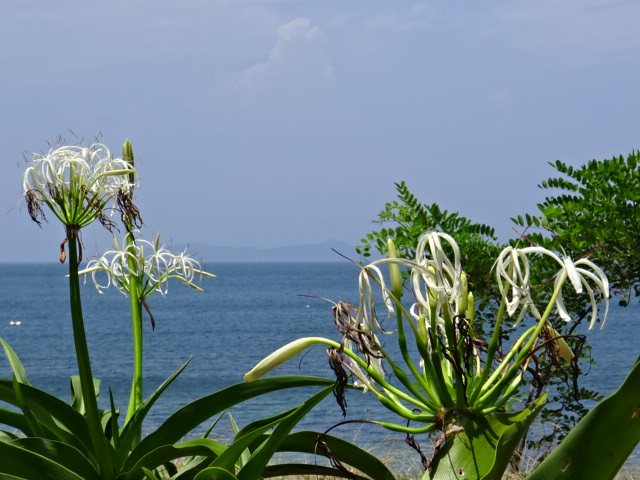 f0231709_20545536.jpg