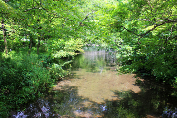 a0329820_11592294.jpg