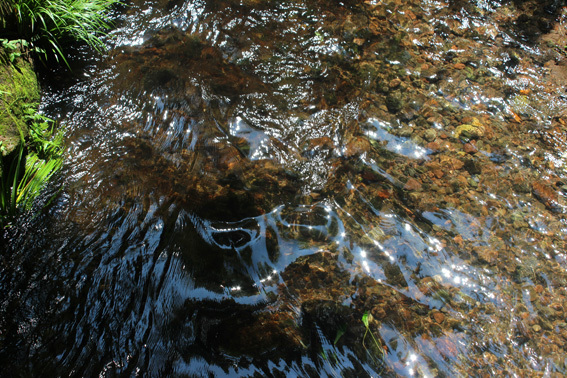 a0329820_11594944.jpg
