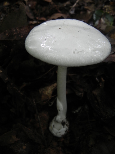e0352220_10492740.jpg