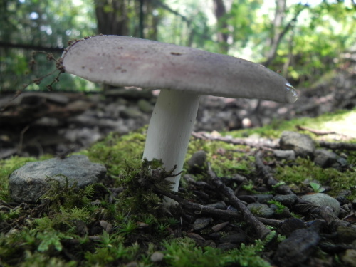 e0352220_11122163.jpg
