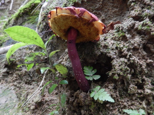 e0352220_14441712.jpg