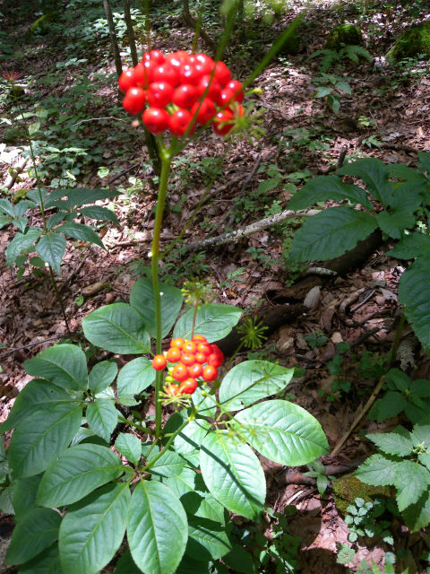e0272335_1918184.jpg
