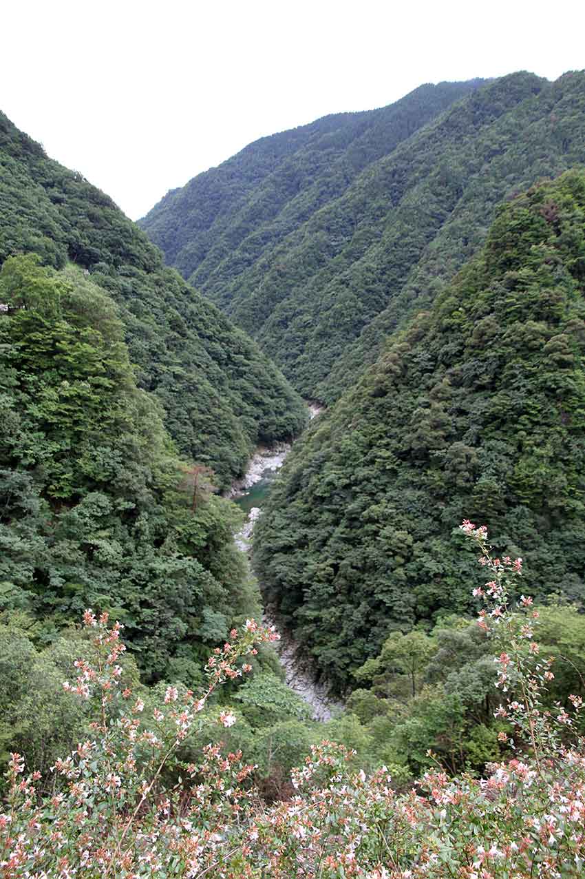 d0058941_20523583.jpg