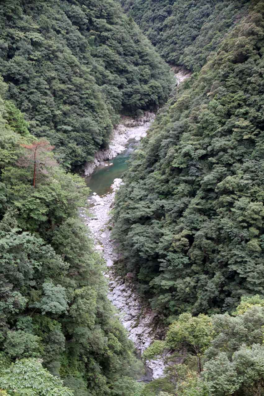 d0058941_20562973.jpg