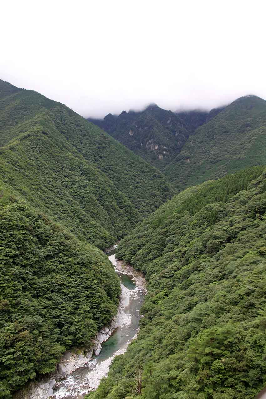 d0058941_21164549.jpg