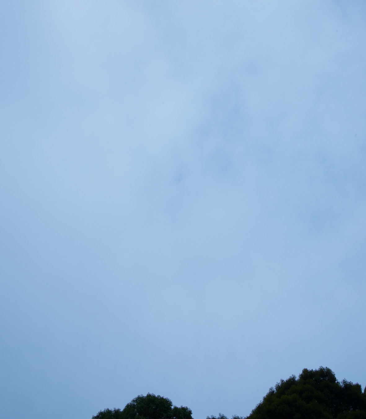 d0073743_1053549.jpg