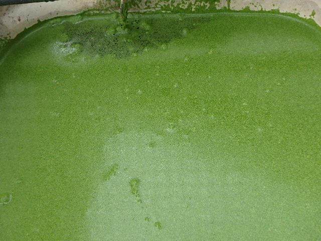 f0334143_9384995.jpg