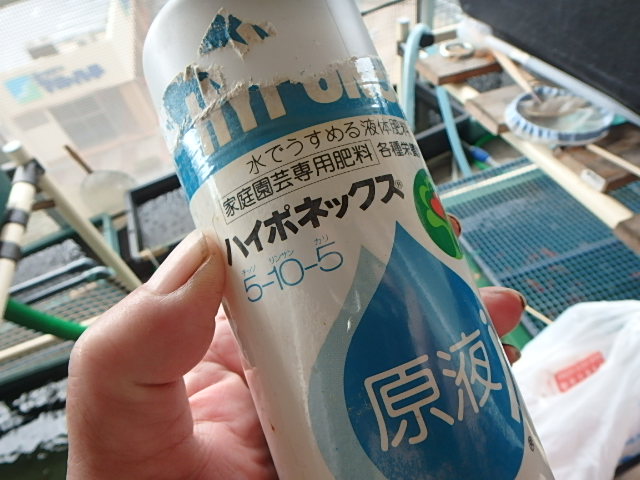 f0334143_9404847.jpg