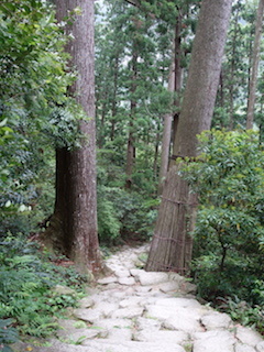 e0138350_20540981.jpg