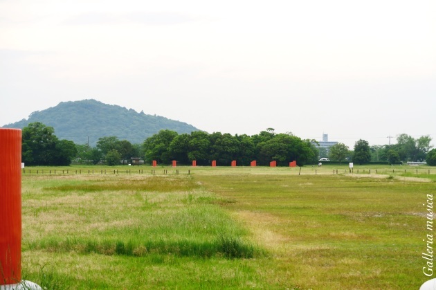 f0351853_03074599.jpg