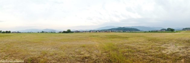 f0351853_19134260.jpg