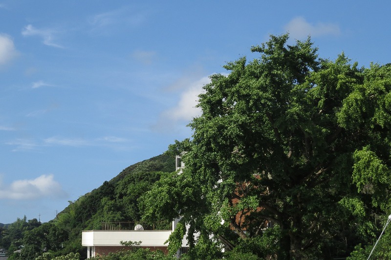 b0104861_1630327.jpg