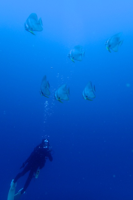 b0062363_21443260.jpg